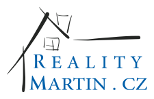 logo Reality Martin