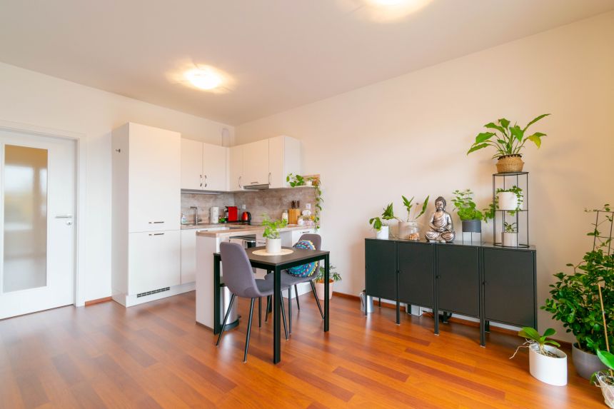 Pronájem bytu 1+kk 45 m² Praha, Losenická